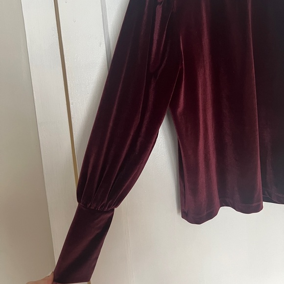 LOFT Velvet Burgundy Blouse - Picture 6 of 9